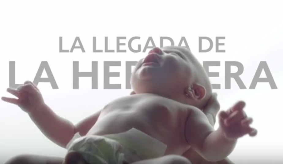 Foto del artículo