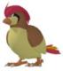 Pidgeotto