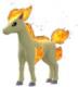 Ponyta
