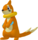 Buizel