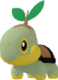 Turtwig
