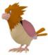 Spearow