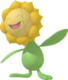 Sunflora