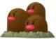 Dugtrio