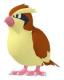 Pidgey