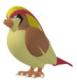 Pidgeot