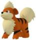 Growlithe