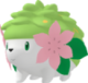 Shaymin