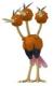Dodrio